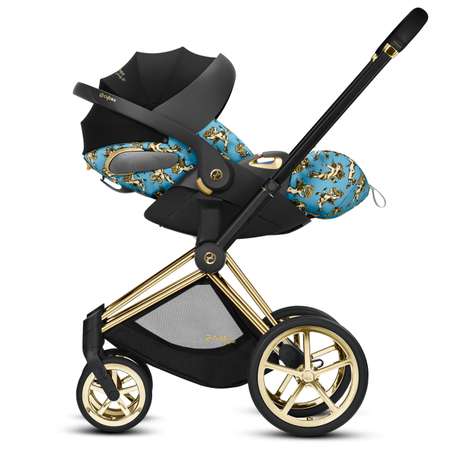 Автокресло Cybex 0 (0 -13 кг)