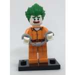 Фигурка LEGO Minifigures coltlbm-8