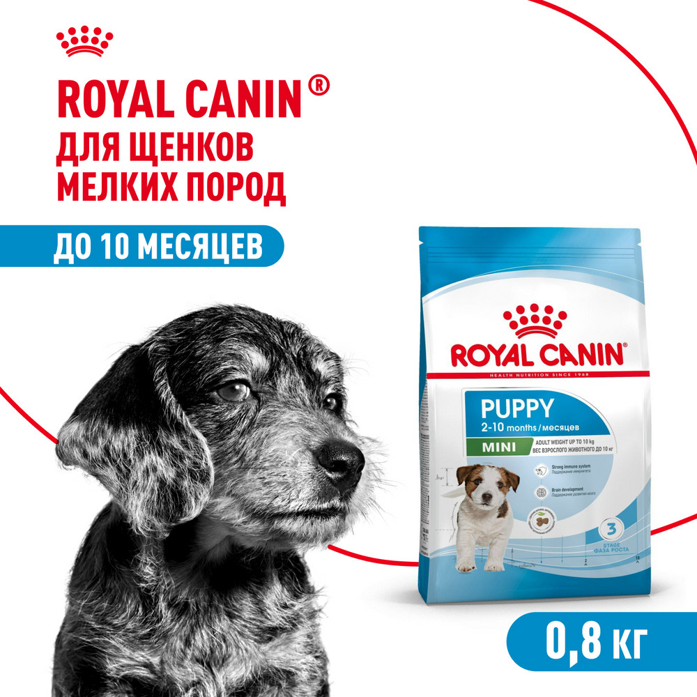 Корм для щенков ROYAL CANIN Puppy мелких пород 800г - фото 1