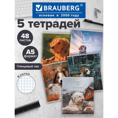 Общая тетрадь Brauberg клетка 48 лист. 5 шт.