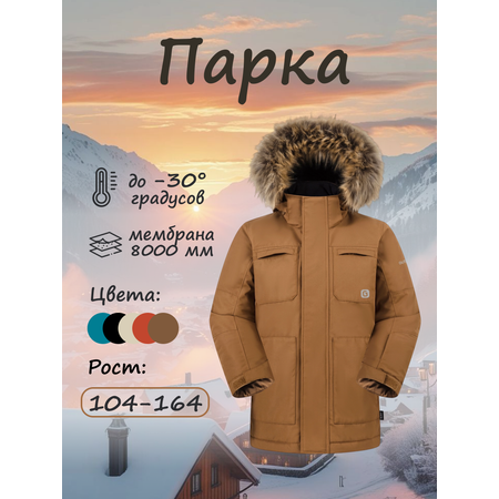 Парка GUSTI