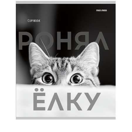 Общая тетрадь Profit клетка 48 лист. 1 шт.