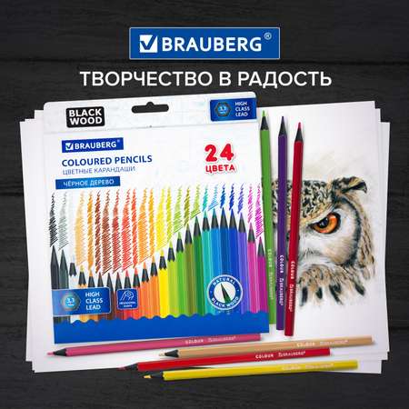 Карандаши цветные Brauberg 24 шт.