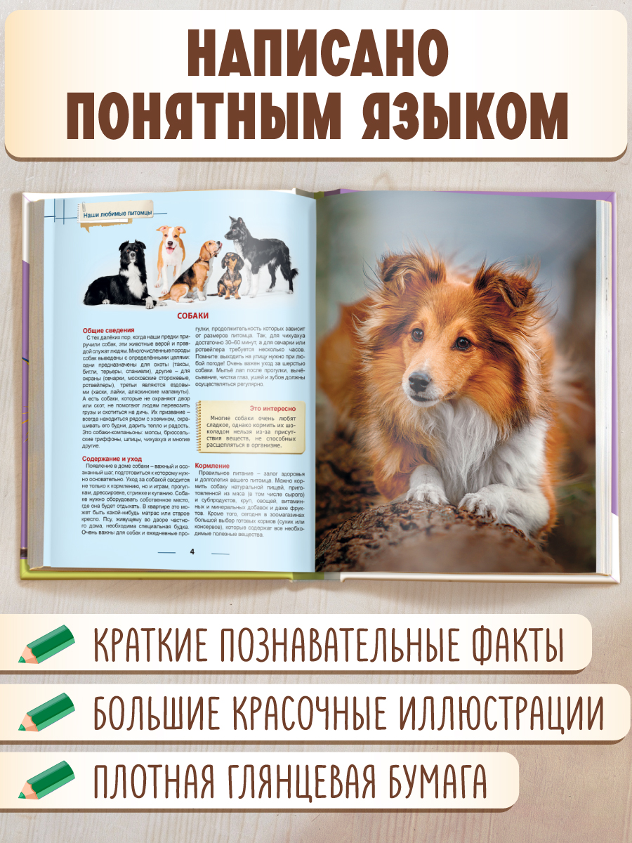 Книга Проф-Пресс Энциклопедия для детей. Наши любимые питомцы - фото 3
