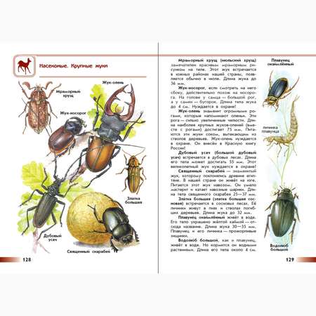 Книга Просвещение От земли до неба. Атлас-определитель. 1-4 класс
