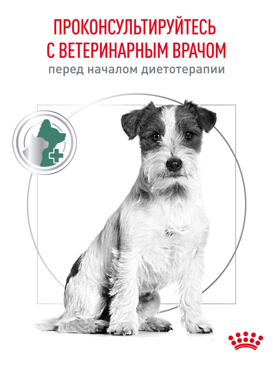 Корм для собак Royal Canin 1.5кг полнорационный для взрослых собак мелких пород для снижения веса - фото 8