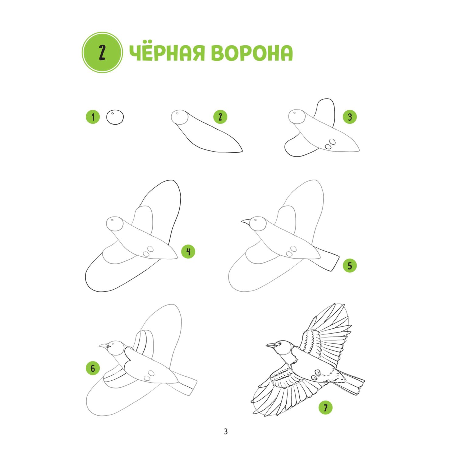 Книга Эксмо Большая книга животных. 300 рисунков шаг за шагом - фото 4