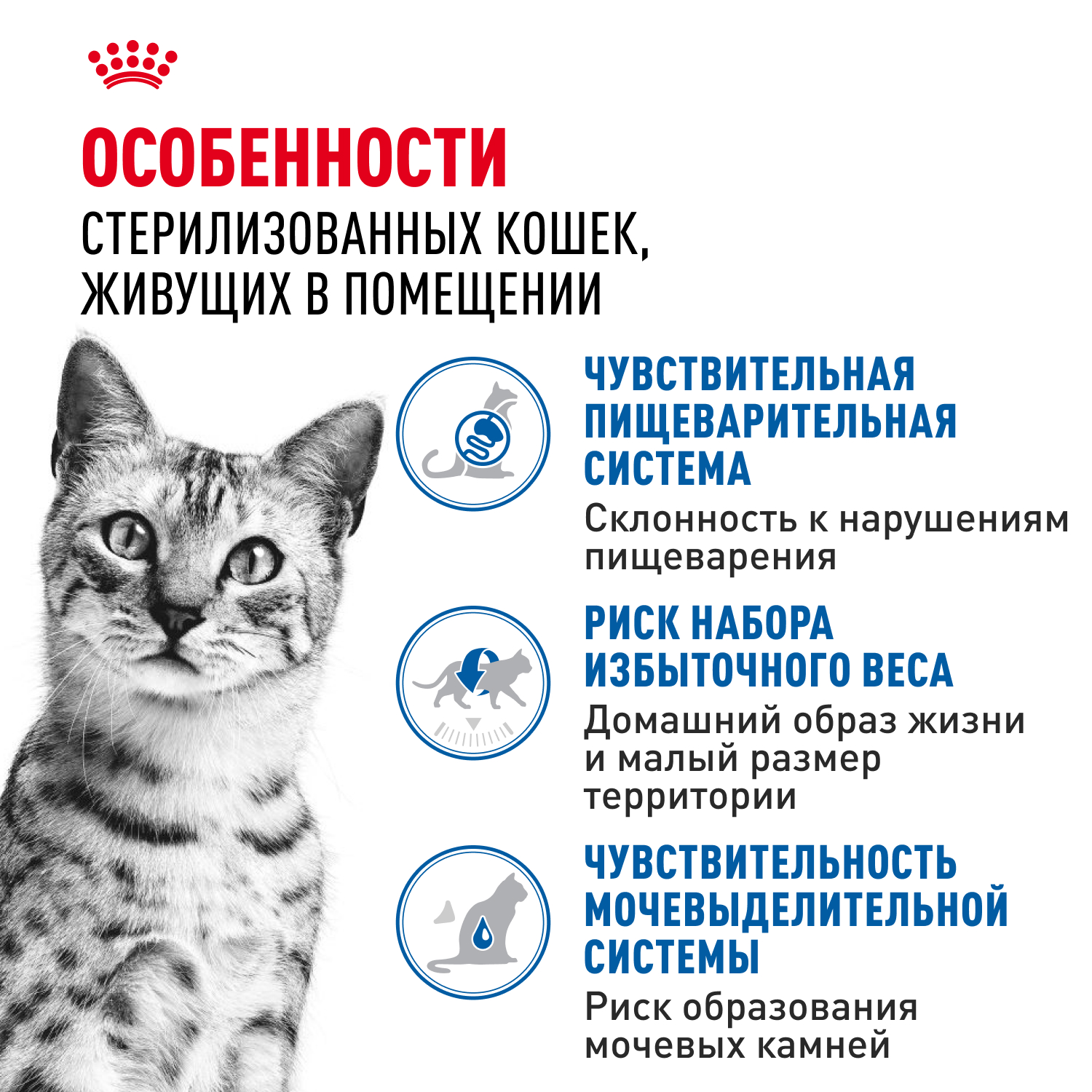 Корм влажный ROYAL CANIN Indoor Sterilised для кошек стерилизованных кусочки в желе - фото 4