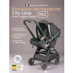 Автокресло Peg-Perego Lounge 0 (0 -13 кг) зеленый