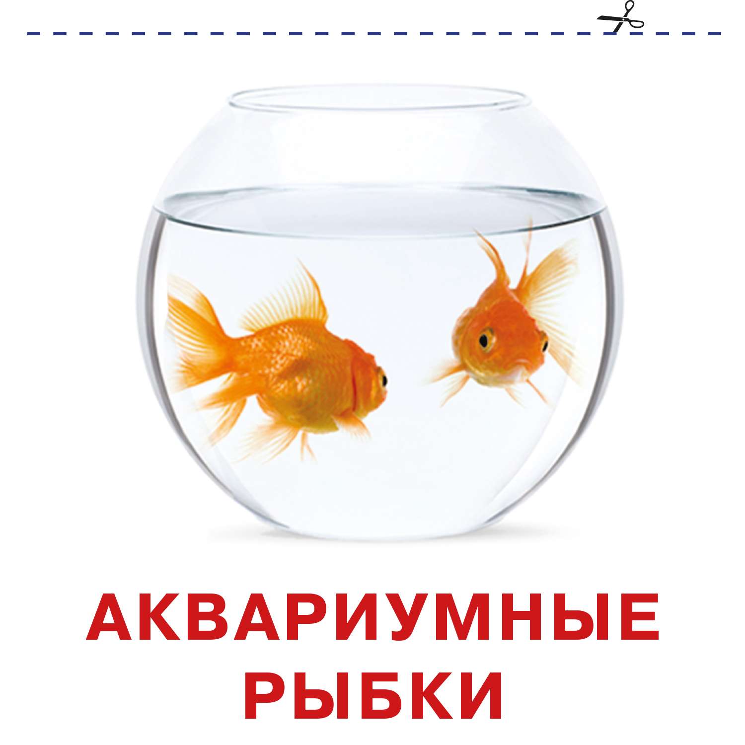 Книга карточки для малышей Домашние животные - фото 3