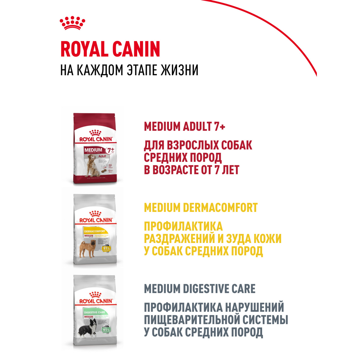 Корм для собак ROYAL CANIN Medium Adult консервированный полнорационный для взрослых собак средних размеров - фото 13