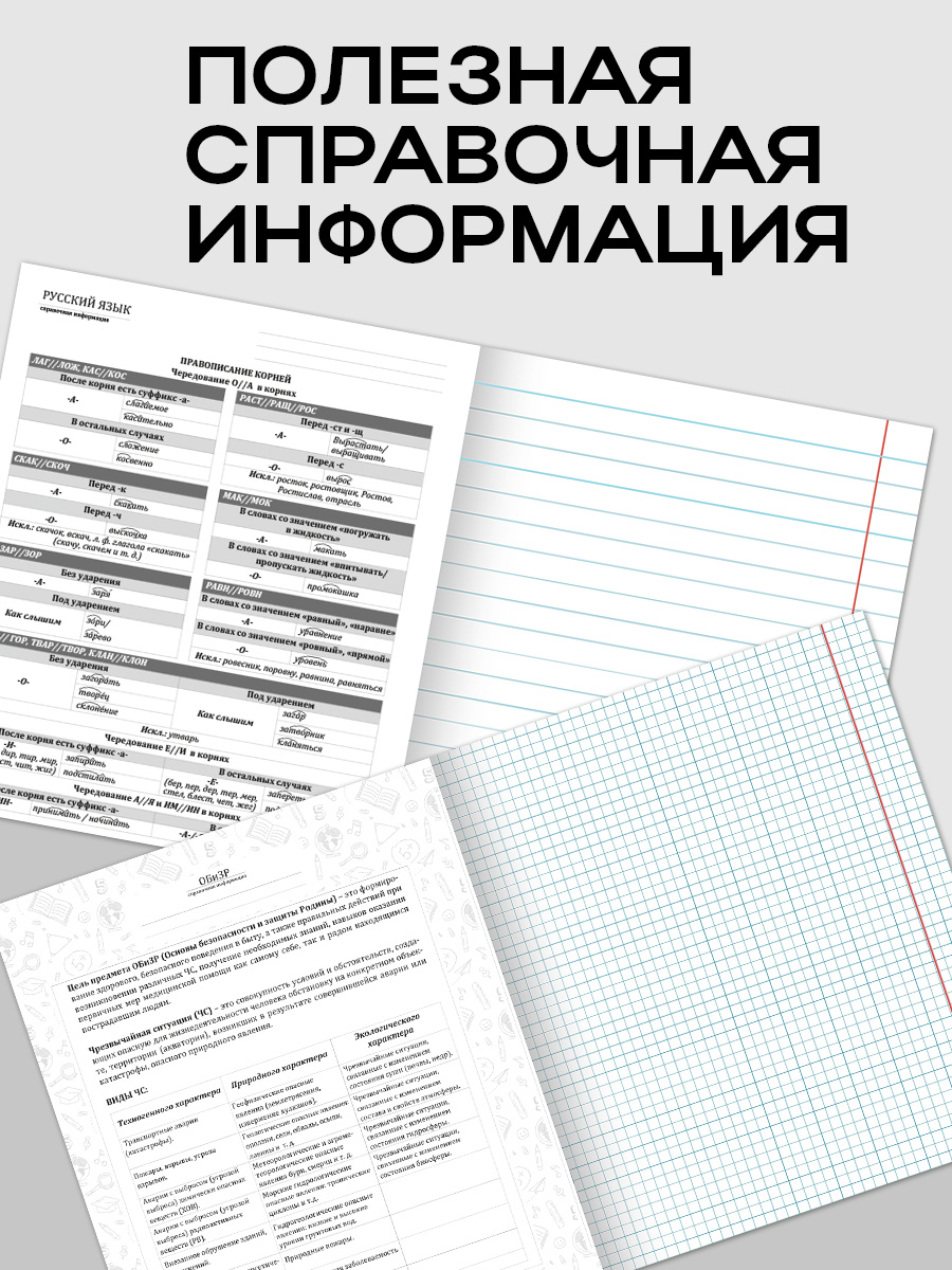 Тетрадь Prof-Press 24 лист. 10 шт. (Иностранный язык, Биология, История, Русский язык, Литература, Алгебра) - фото 6
