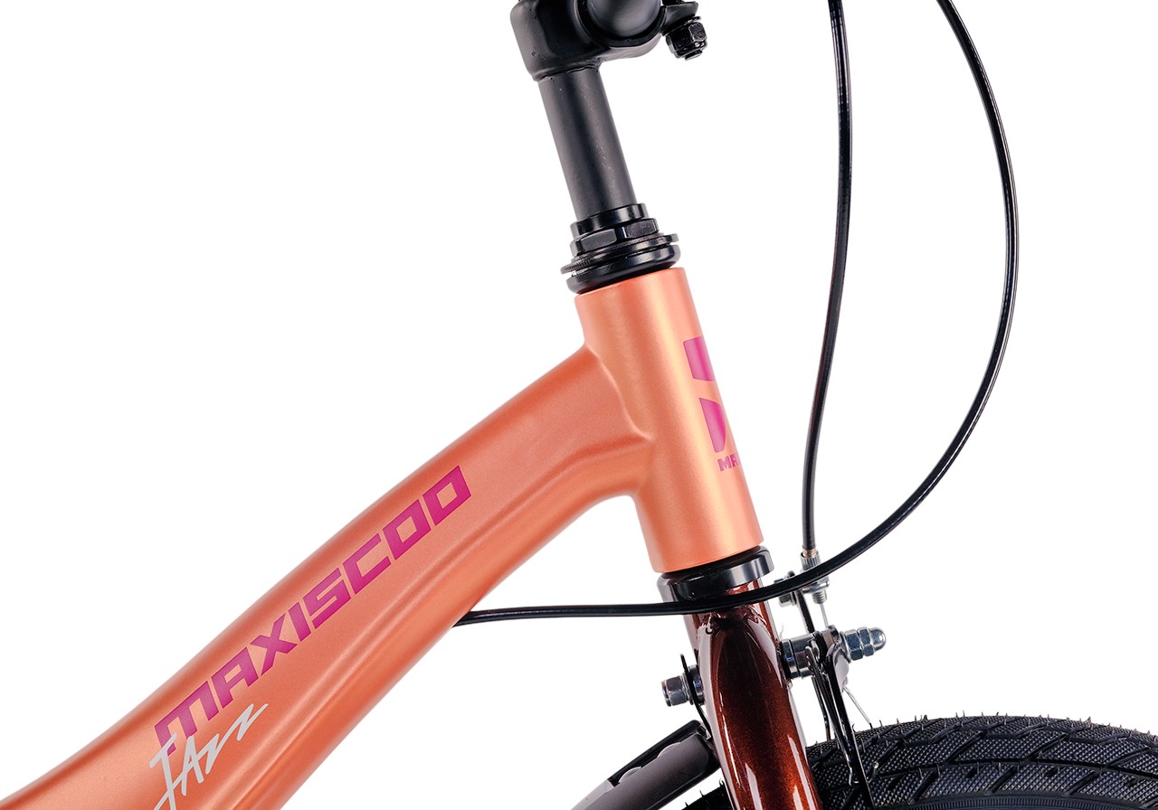 Двухколесный велосипед Maxiscoo 16 дюймов - фото 5