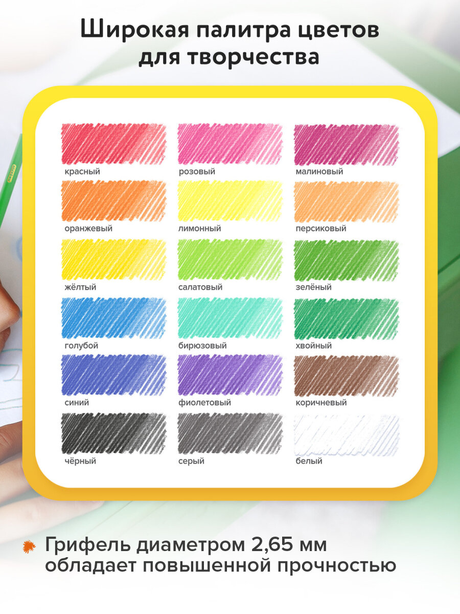 Карандаши цветные Пифагор 18 шт. - фото 3