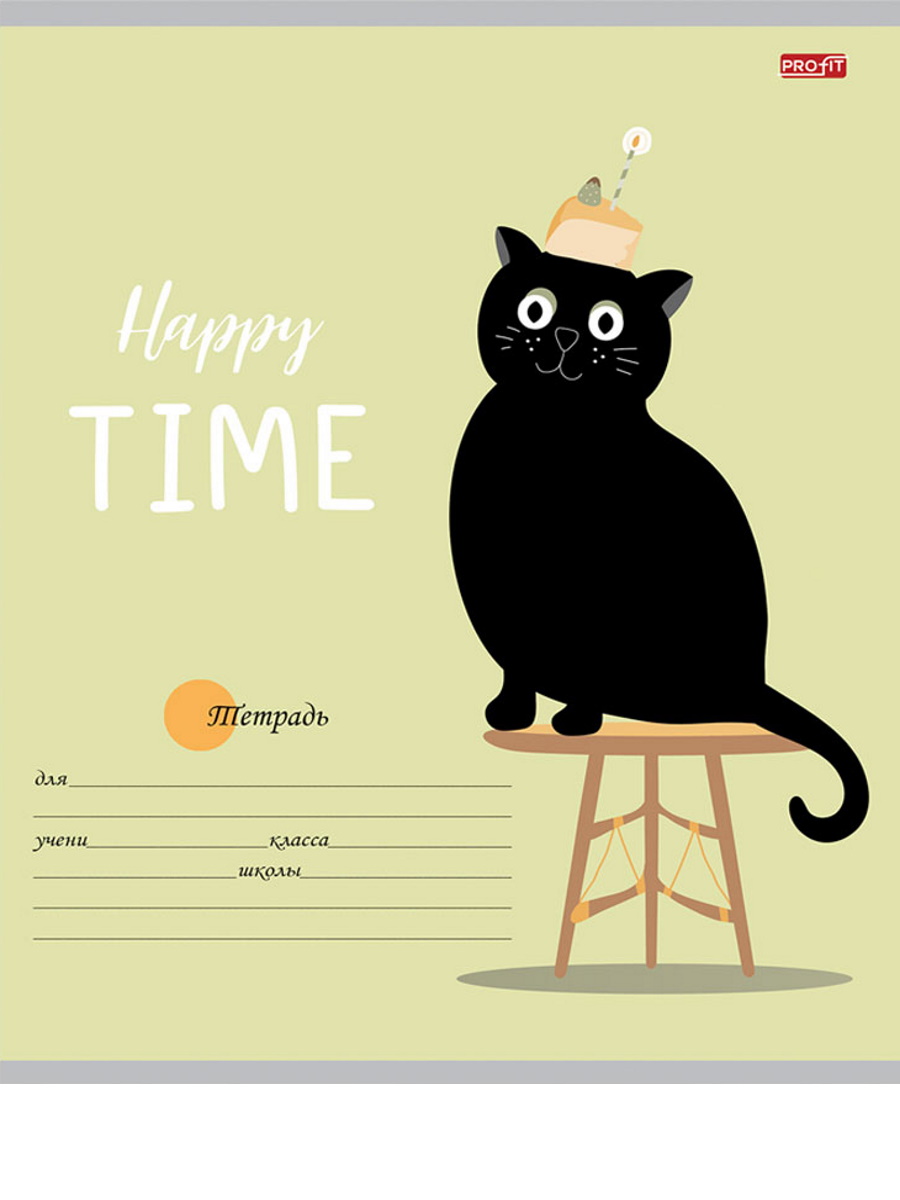 Тетрадь Profit линейка 24 лист. 20 шт. - фото 6