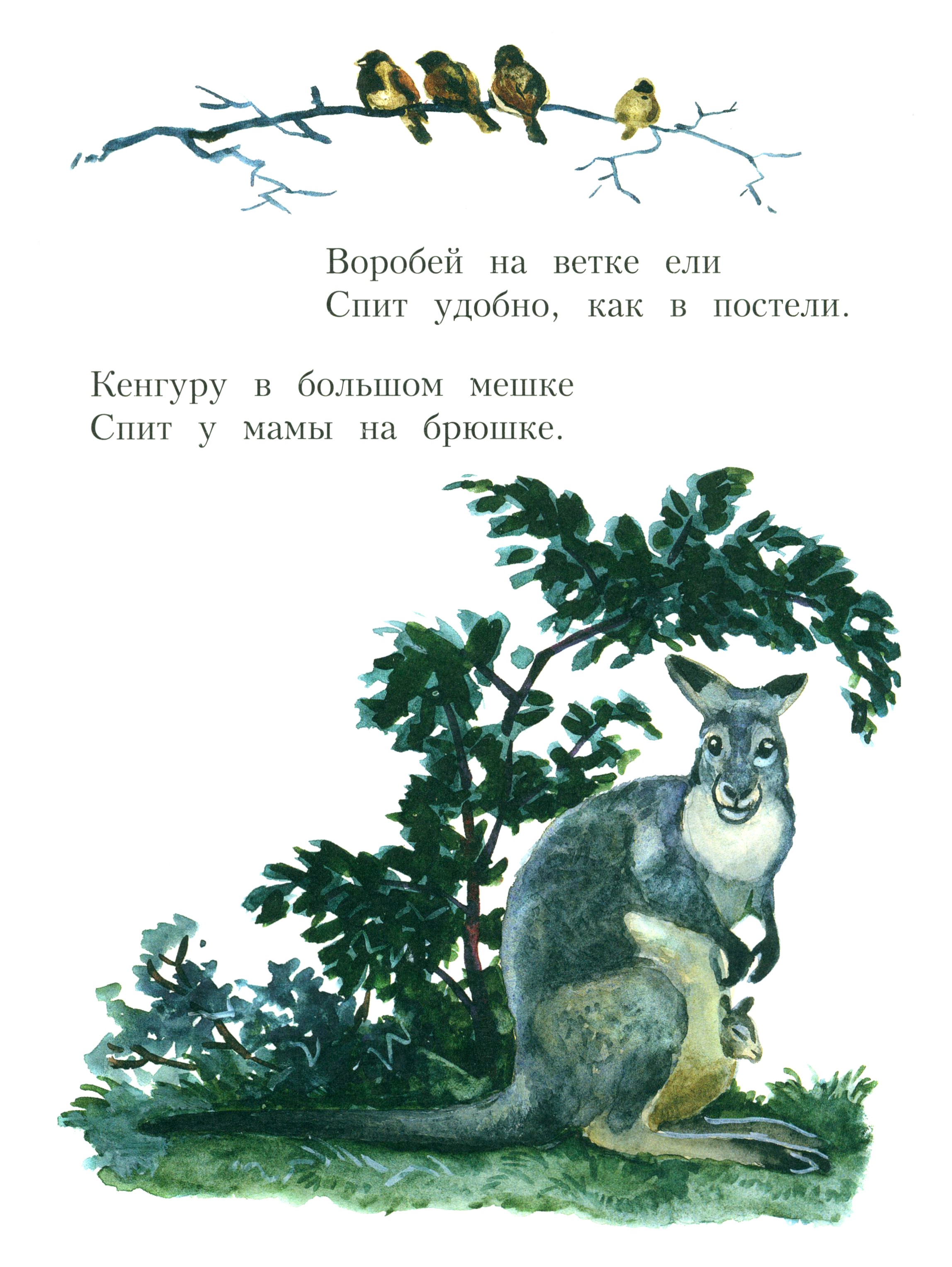 Книга Издательство Речь Колыбельная - фото 6