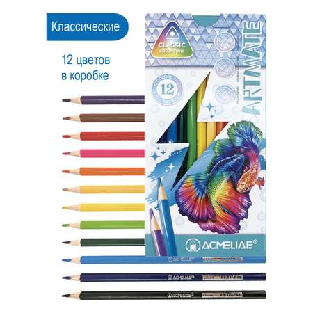 Карандаши цветные ACMELIAE 60 шт.