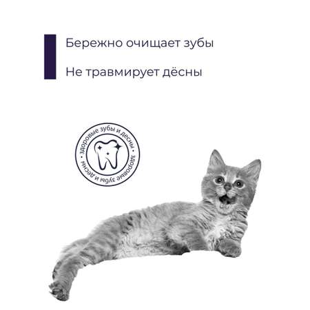 Зубная щетка-насадка Woofik для кошек и собак силикон