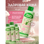 Экстракт Здравландия 1000 мл 4 шт.