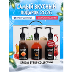 Набор сиропов SPOOM Соленая карамель Амаретто Шоколад для кофе 3 шт по 250 мл + 3 дозатора