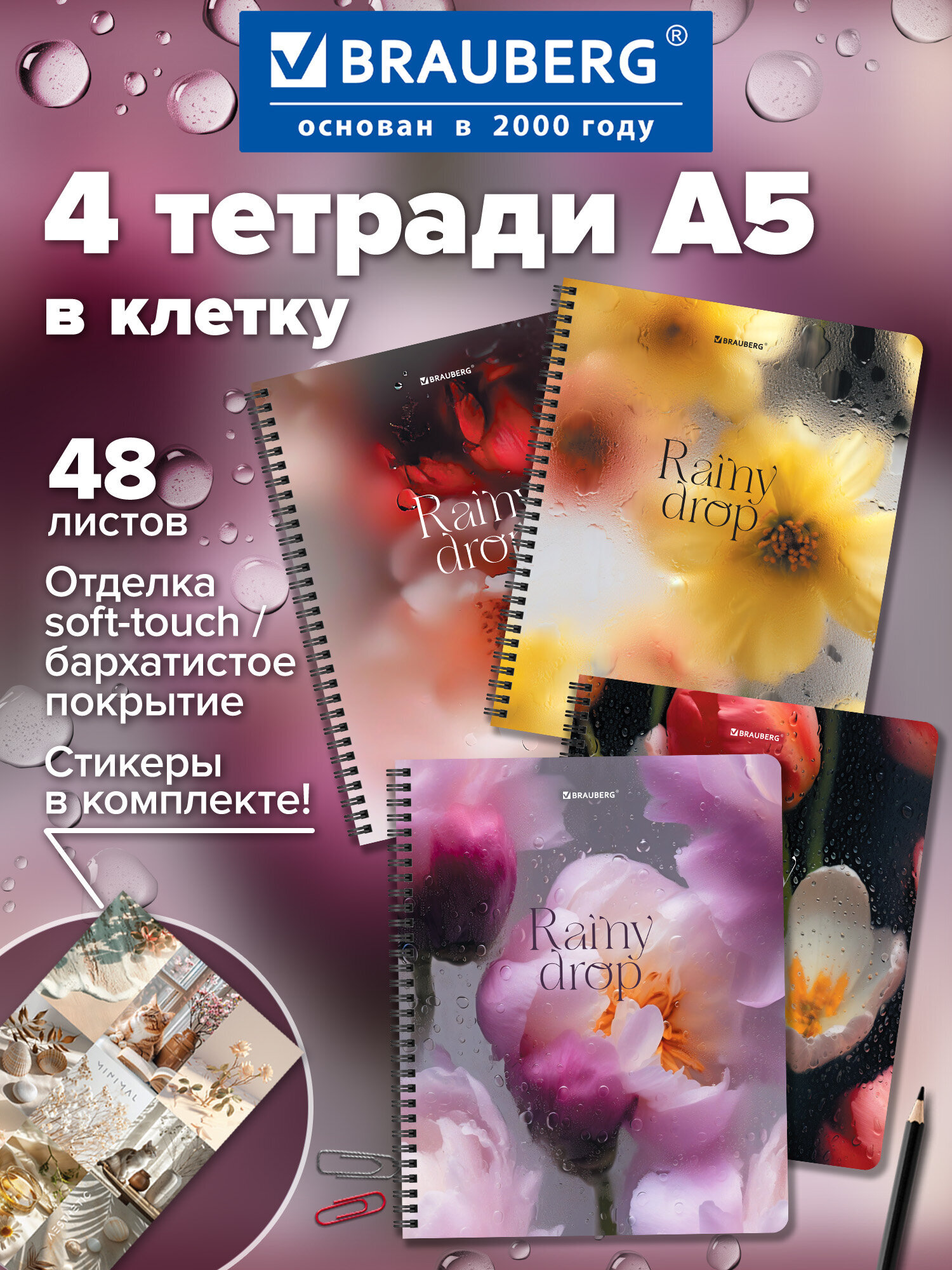 Тетрадь Brauberg клетка 48 лист. 4 шт. - фото 1