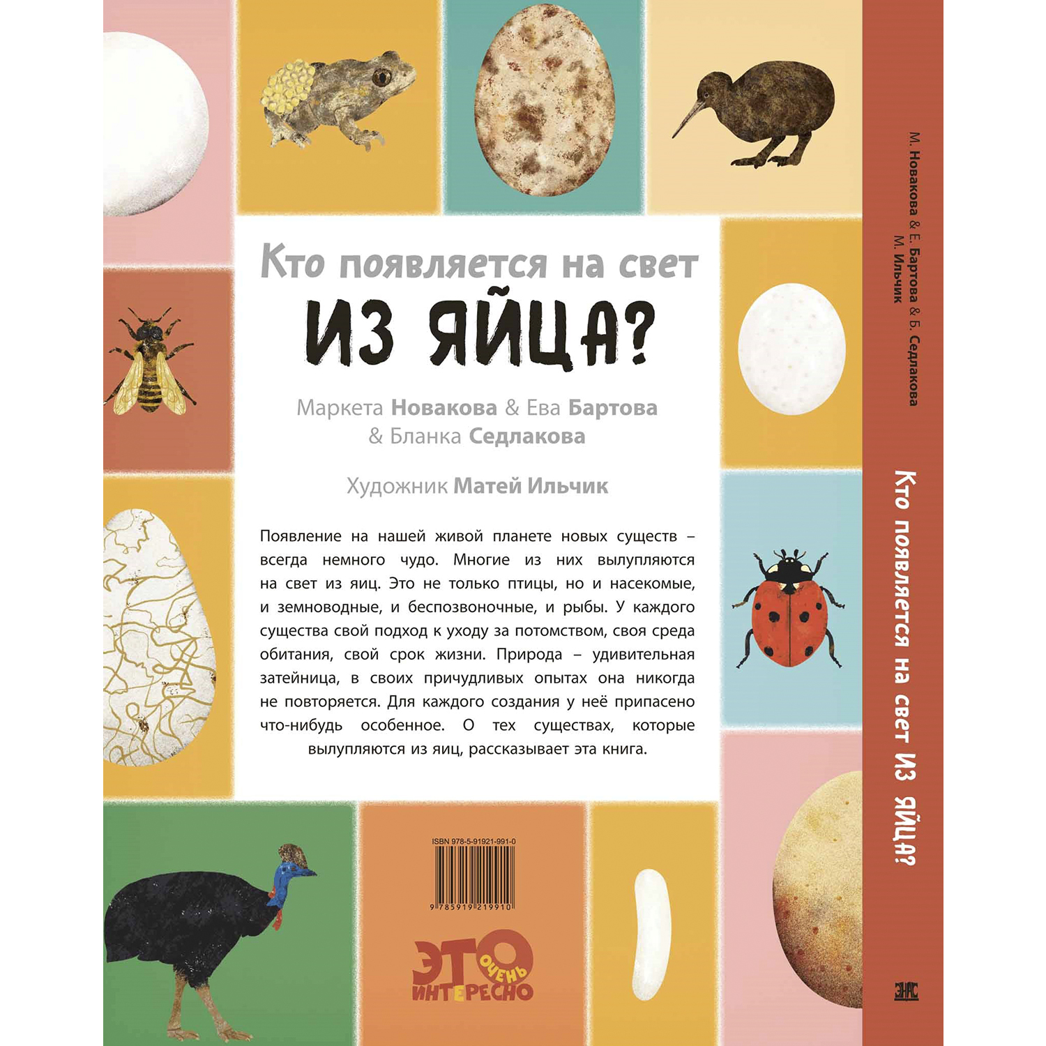 Книга ЭНАС-книга Кто появляется на свет из яйца? - фото 8