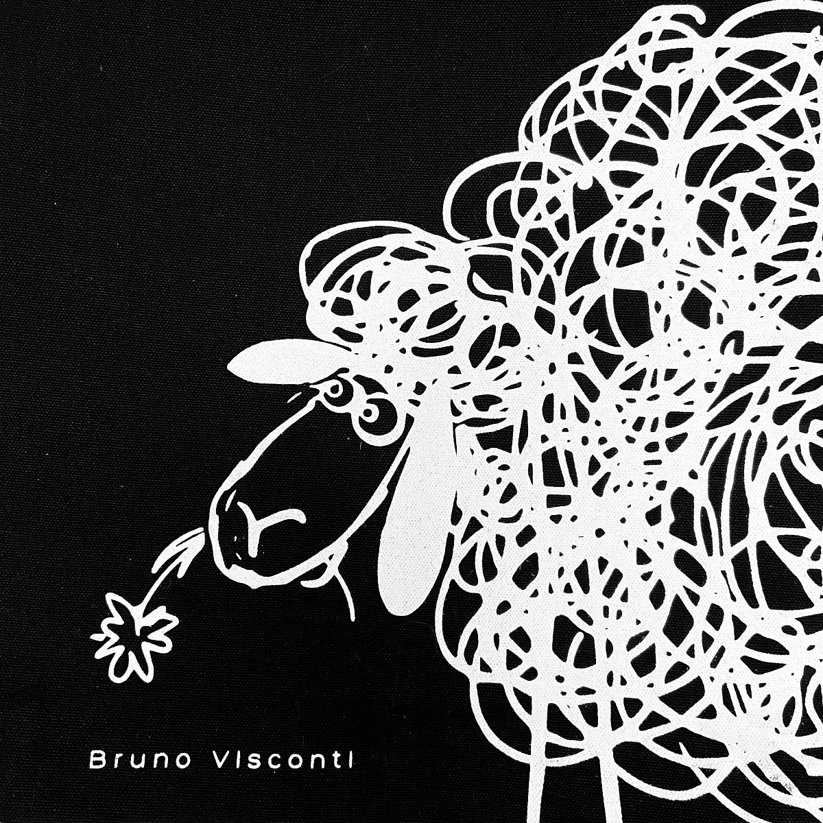 Сумка Bruno Visconti шоппер - фото 4