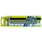 Батарейка алкалиновая Ergolux Alkaline LR6 BP-12