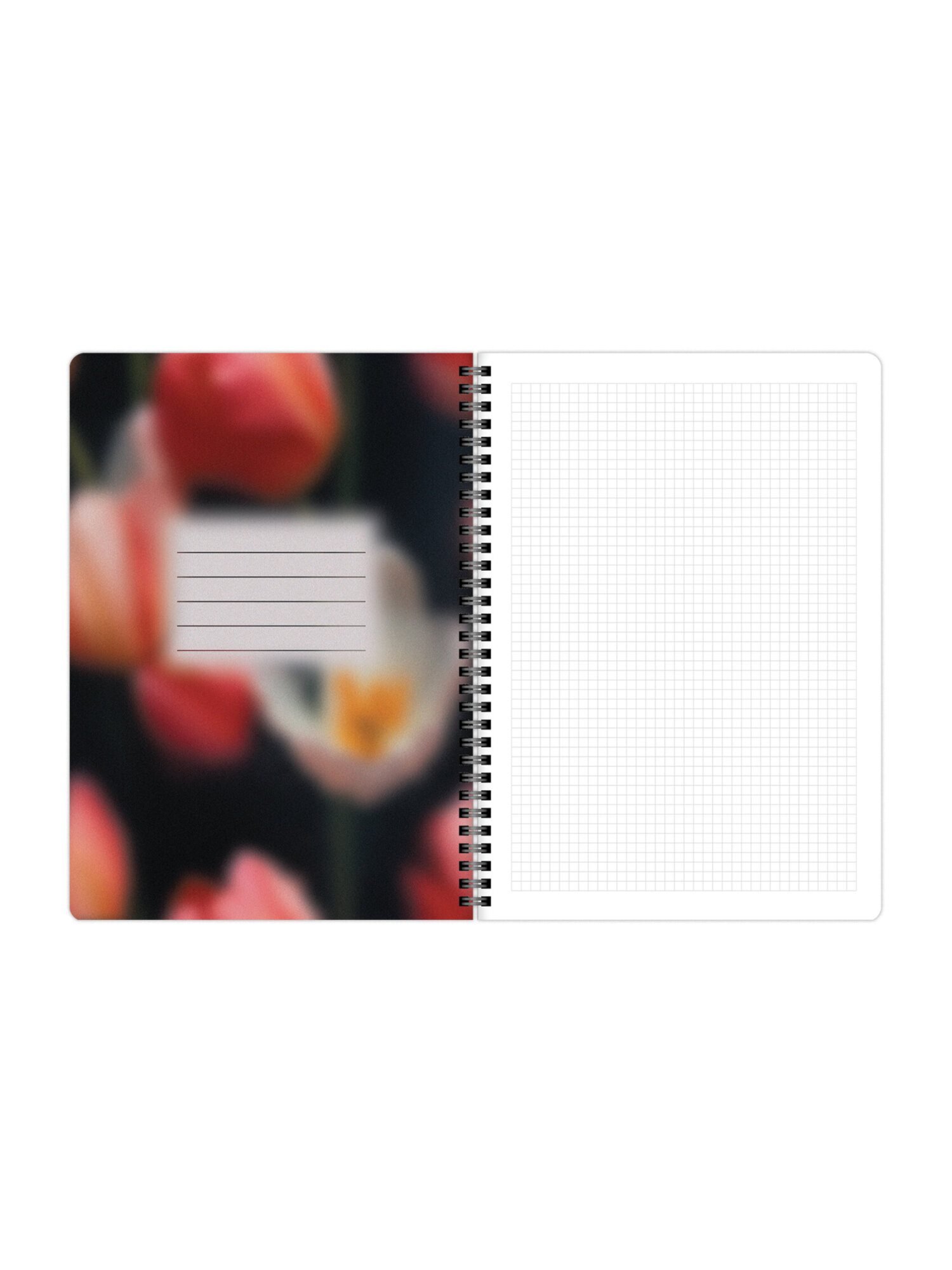 Общая тетрадь Brauberg клетка 96 лист. 2 шт. - фото 9