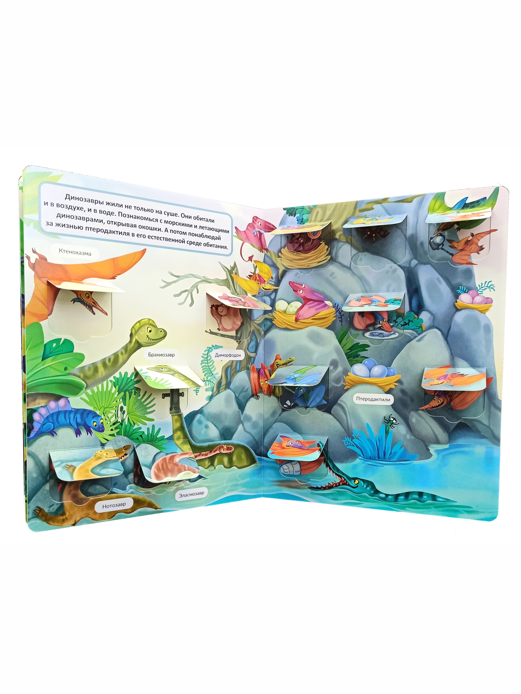 Книжка для малышей BimBiMon с окошками Динозавры Виммельбух - фото 12