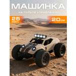 Внедорожник РУ AUTODRIVE