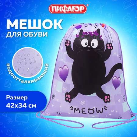 Мешок для обуви Пифагор