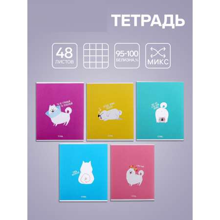 Тетрадь Calligrata клетка