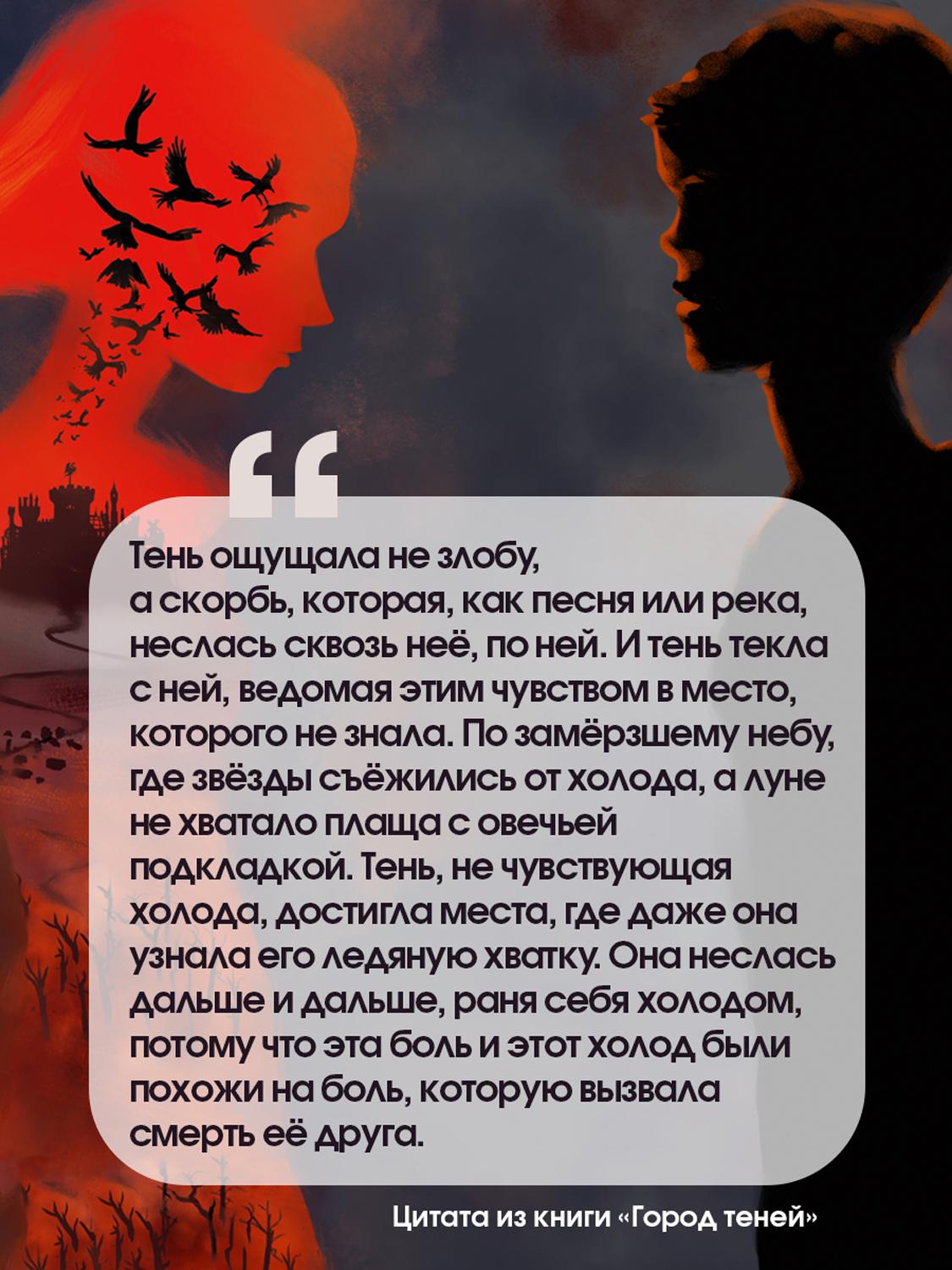 Книга Лабиринт Город теней - фото 5