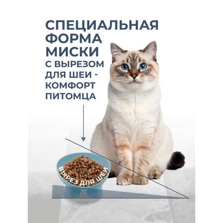 Миска для кошек и собак ROXY PETS 300 мл