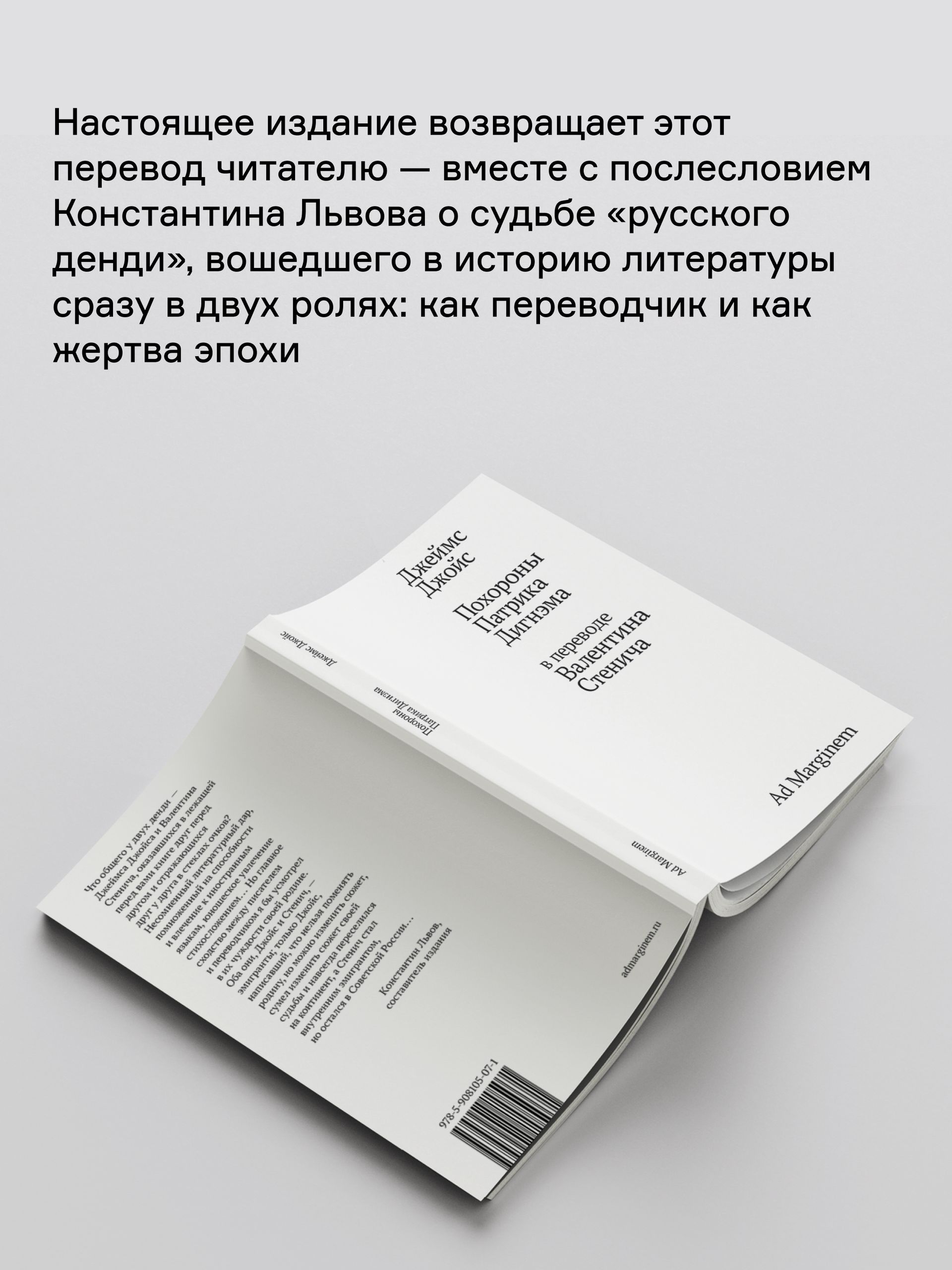 Книга Ad Marginem Похороны Патрика Дигнэма - фото 10