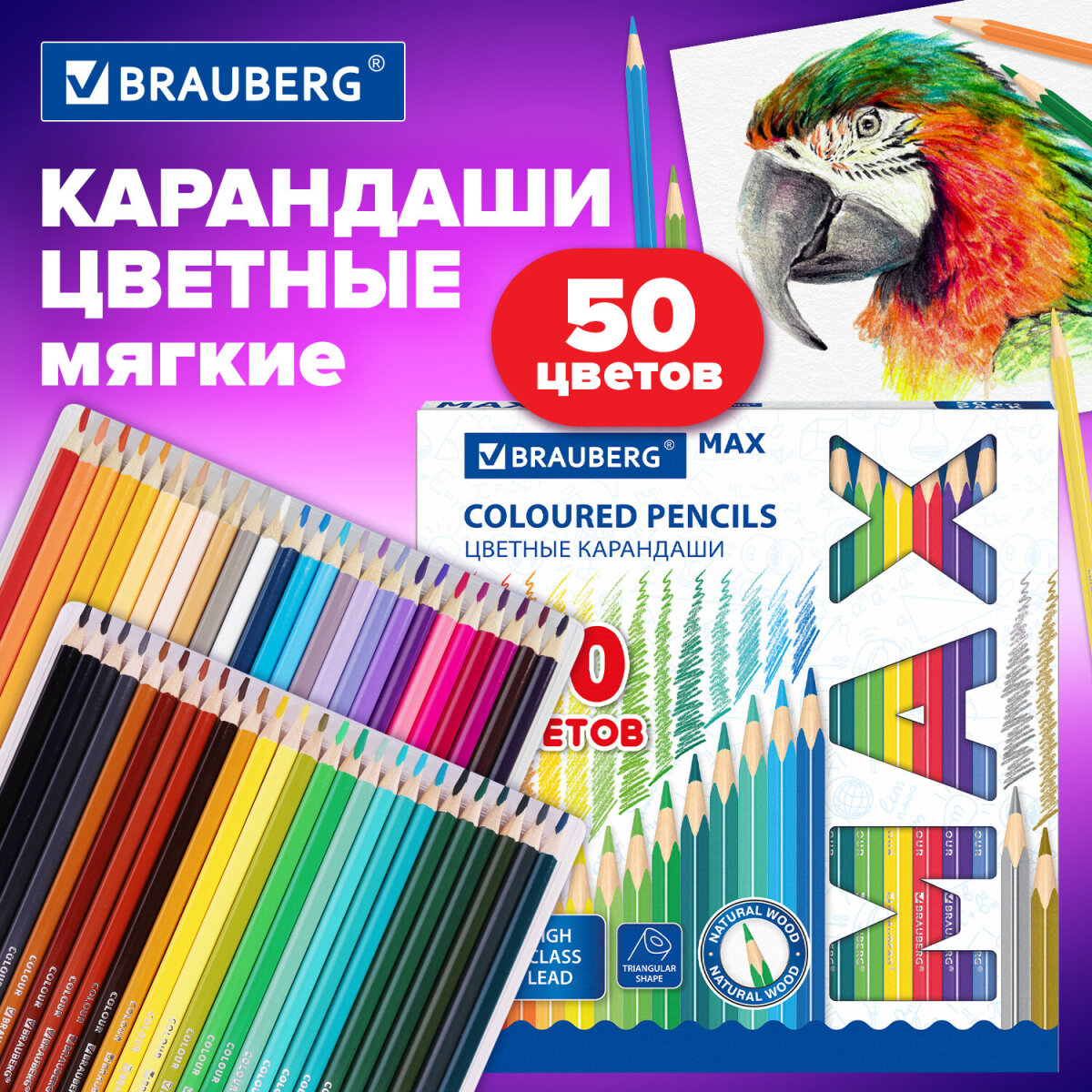Карандаши цветные Brauberg 50 шт. - фото 1