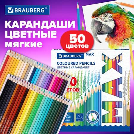 Карандаши цветные Brauberg 50 шт.
