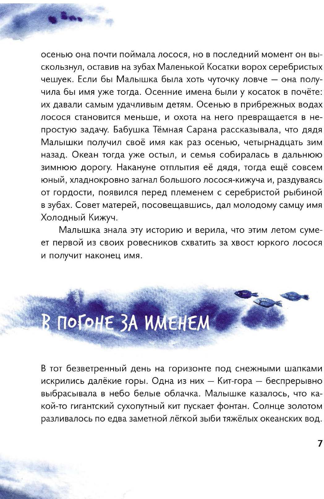 Книга Абраказябра Маленькая косатка - фото 7