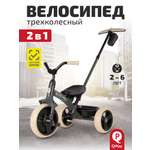 Трехколесный велосипед QPLAY 10 дюймов