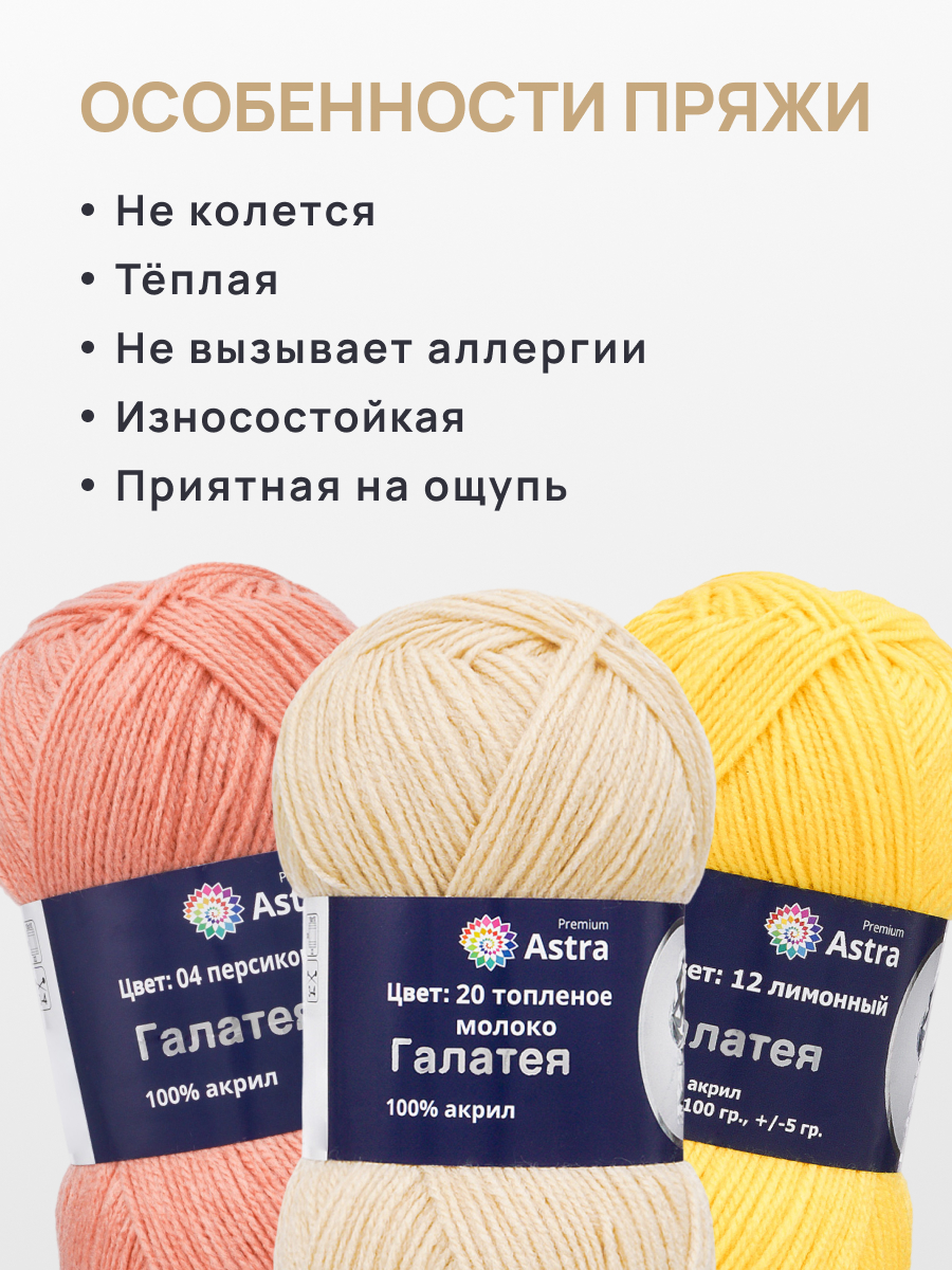 Пряжа для вязания Astra Premium 100г 250м 3шт - фото 3