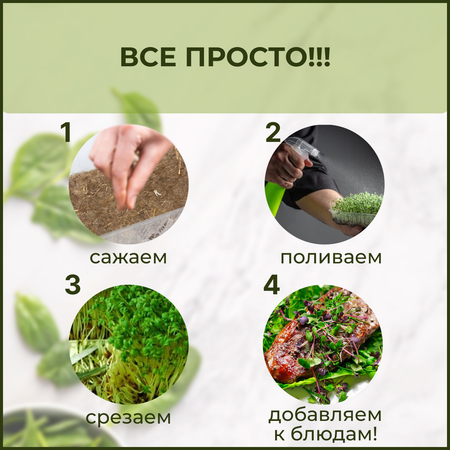 Набор для выращивания mGreens