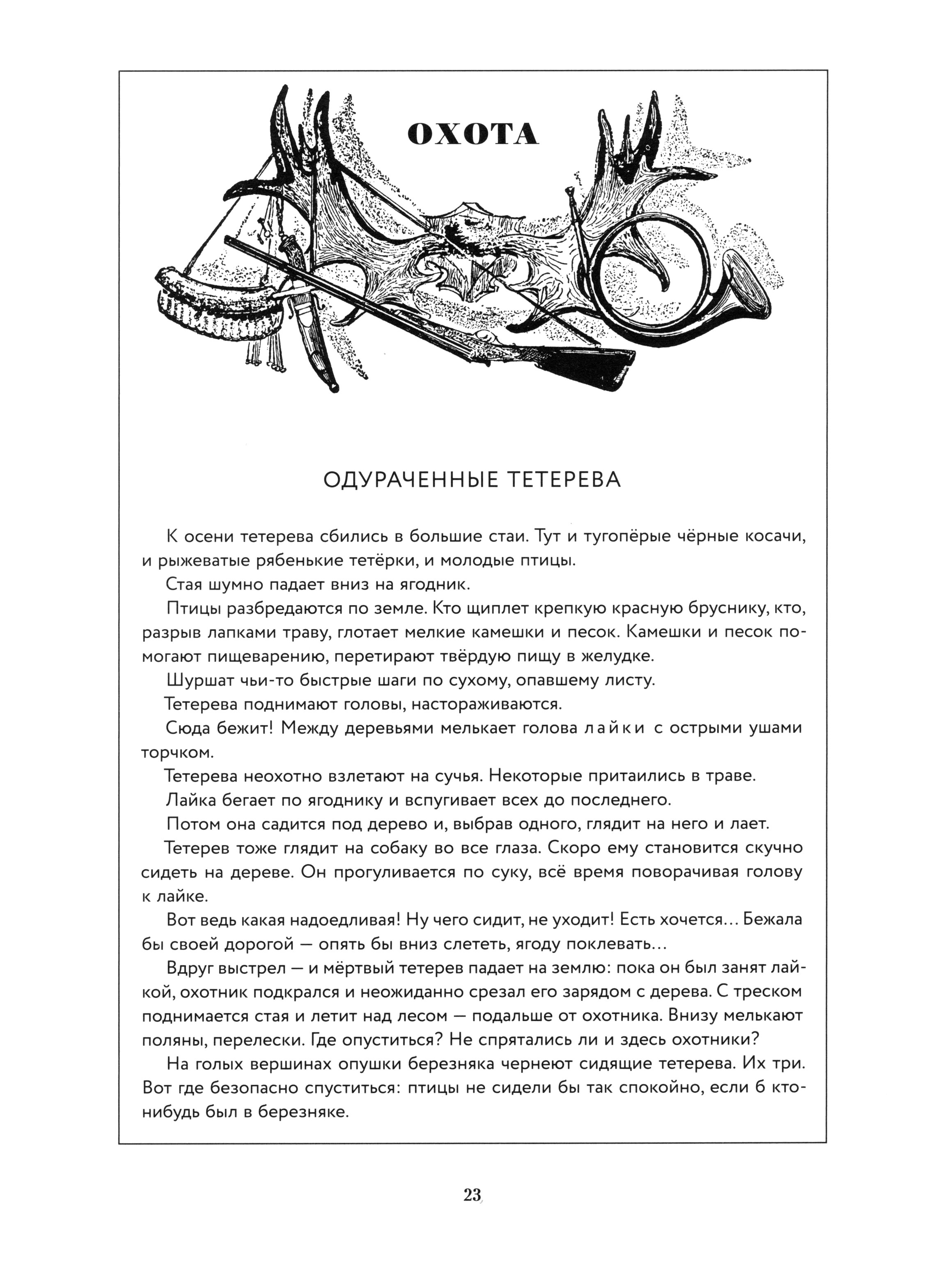 Книга Стрекозa Лесная газета Осень - фото 9