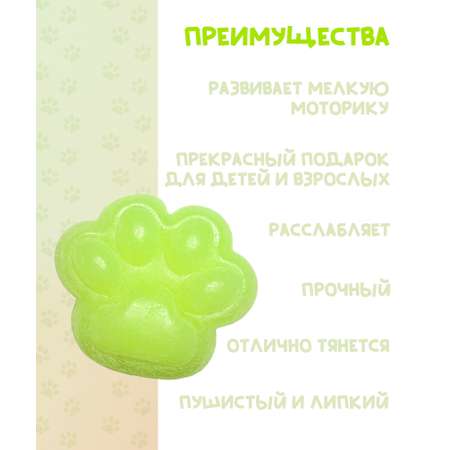 Сквиш КАМЕЛИЯ