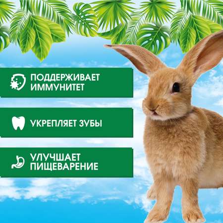 Корм для кроликов HappyJungle молодых 400г