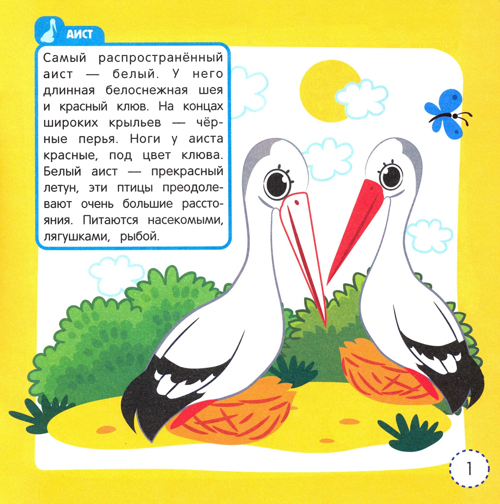 Книга Феникс Премьер Животные леса Книжка-раскраска - фото 2