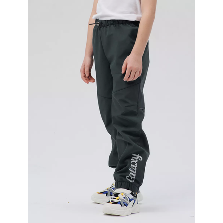 Брюки Lemonwear