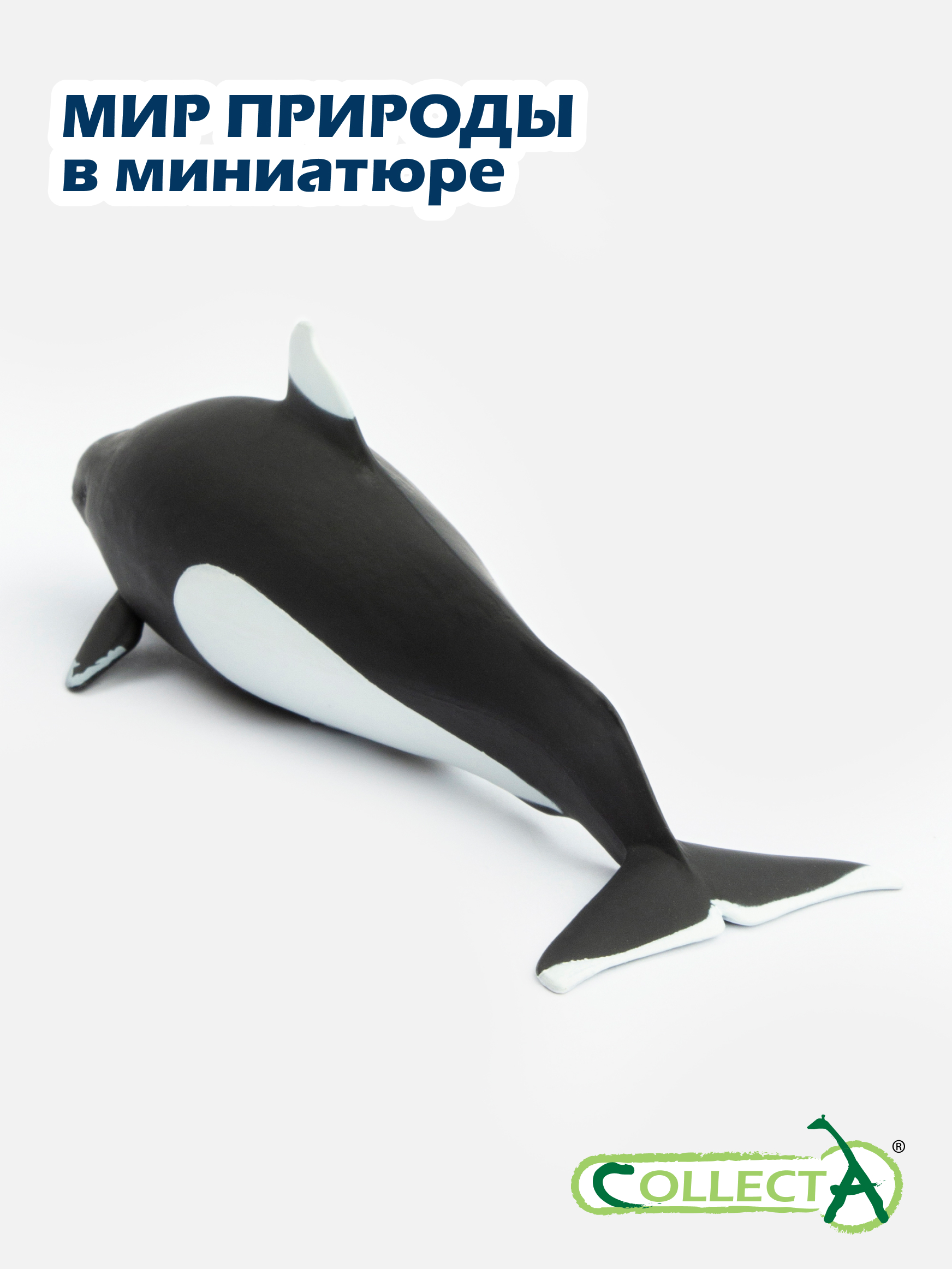 Фигурка Collecta Морская свинья Далля 4.8 см - фото 7