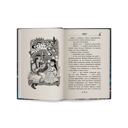 Книга ОКно Шаманка Нёраяна