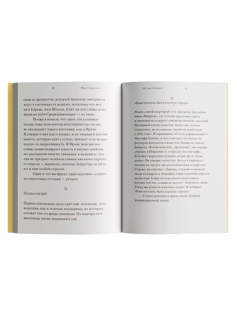 Книга Ad Marginem 961 час в Бейруте - фото 3